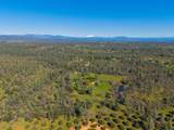 16533 Blue Horse Road - Photo 67