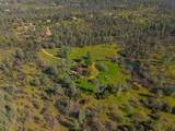 16533 Blue Horse Road - Photo 69