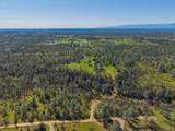 16533 Blue Horse Road - Photo 72