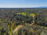 16533 Blue Horse Road - Photo 73