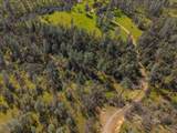 16533 Blue Horse Road - Photo 74