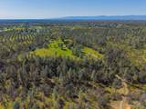 16533 Blue Horse Road - Photo 75