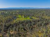 16533 Blue Horse Road - Photo 76