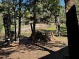 15912 Valhalla Drive - Photo 14