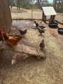 18020 Benson Road - Photo 55