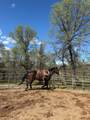 18020 Benson Road - Photo 59
