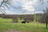 18020 Benson Road - Photo 65