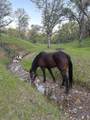 18020 Benson Road - Photo 68
