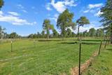 22989 Antler Road - Photo 21