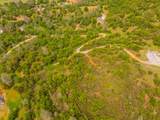 Lot 23 Peppernut Drive - Photo 13