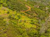 Lot 23 Peppernut Drive - Photo 21