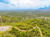 Lot 23 Peppernut Drive - Photo 3