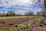 23848 Springwood Way - Photo 64
