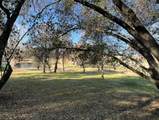 13498 Tierra Heights Road - Photo 6