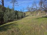  Elk Trail - Photo 1