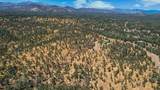 Lot 9 Canto De Las Lupine Drive - Photo 13