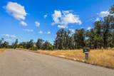 Lot 9 Canto De Las Lupine Drive - Photo 17