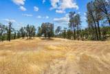 Lot 9 Canto De Las Lupine Drive - Photo 21