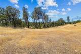 Lot 9 Canto De Las Lupine Drive - Photo 22