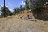 14020 Windfall Drive - Photo 16