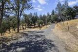 14020 Windfall Drive - Photo 18