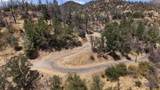 14020 Windfall Drive - Photo 5