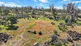  Lack Creek Drive - Photo 10