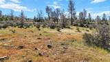  Lack Creek Drive - Photo 17