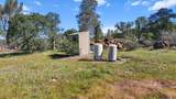  Lack Creek Drive - Photo 7