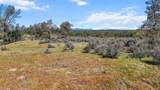 Lack Creek Drive - Photo 9