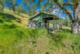 2350 Puma Trail - Photo 6