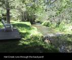 12625 Ivie Lane - Photo 3