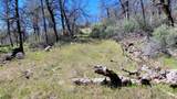 000 Jacey's Tract Road - Photo 31