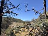  Iron Mountain Road - Photo 12