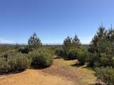  Iron Mountain Road - Photo 19