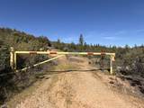  Iron Mountain Road - Photo 22