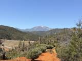  Iron Mountain Road - Photo 3