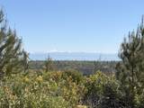  Iron Mountain Road - Photo 5