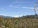  Iron Mountain Road - Photo 9
