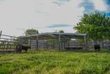 22405 Venzke Road - Photo 37