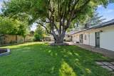 3689 Suzanne Way - Photo 42