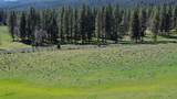 651-050 Foothill Road - Photo 13