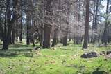 651-050 Foothill Road - Photo 62