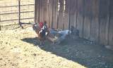 651-050 Foothill Road - Photo 72