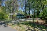 21411 Chamberlain Street - Photo 28