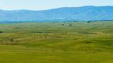  Rancho Tehama Road - Photo 1