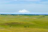  Rancho Tehama Road - Photo 2