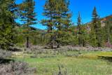79402 California Hwy 3 - Photo 24