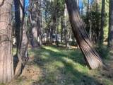 30830 Thumper Drive - Photo 4