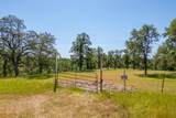 Woodview Drive - Photo 5